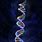 DNA Molecule Real