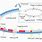 DNA Replication in Bacteria