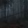 Dark Anime Forest Wallpaper