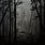 Dark Forest Oil Painting