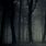 Dark Forest Wallpaper 4K iPhone