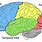 Diagram of Brain Lobes