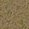 Dirt Ground Grass Texture