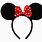 Disney Mickey Ears