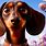 Disney Movie Poster Dog