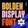Display Type Font