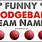 Dodgeball Team Names Funny