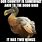 Dodo Bird Meme