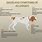 Dog Food Allergy Symptoms Skin