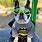 Dog with Batman Mask