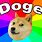 Doge Meme History
