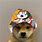Doge in Hat