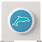 Dolphin Badge