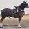 Draft Horse Show Harness