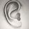 Drawing the Ear