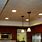 Drop Ceiling Lights