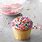 Easy Cupcake Decorations