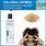 Eczema Shampoo Scalp Treatment