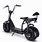 Electric Scooter Product
