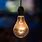 Electrical Light Bulb