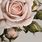Elegant Rose Wallpaper