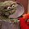 Elmo and Oscar the Grouch