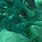 Emerald Green Background Aesthetic