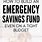 Emergency Fund Quotes