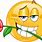 Emoji Smiley Face with Rose