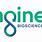 Engene Bioscience Logo