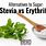 Erythritol vs Stevia