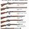 Evolution of Rifles