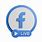 FB Live Logo