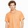 Fake Orange Ralph Lauren Shirt