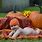 Fall Baby Pumpkin