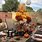 Fall Party Decoration Ideas