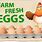 Farm Fresh Eggs Clip Art Free