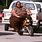 Fat Guy On Motorbike