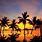 Fiji Beach Sunset