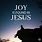 Find Joy in Christ