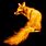Firefox Fox On Fire