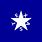 First Texas Flag 1836