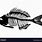 Fish Skeleton Silhouette
