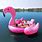 Floating Flamingo