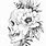 Floral Skull Drawing