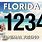 Florida Animal License Plates