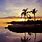 Florida Beach Sunset Wallpaper 4K