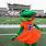 Florida Gators Football Mascot