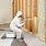 Foam Wall Insulation