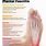 Foot Pain Anatomy